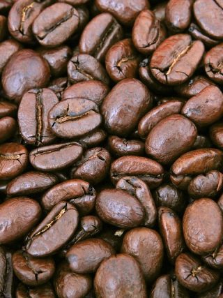 Discover the Best Coffee Accessories at this Trendy Lifestyle Store