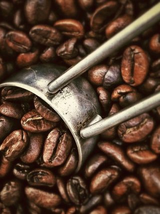 Exploring the Influence of Climate and Geography on Coffee Bean Origins