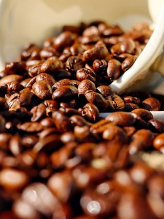 Exploring the Rich History of Coffee Bean Origins