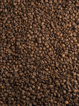 From Bean to Cup: Exploring the Journey of Coffee Beans