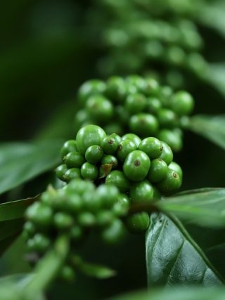 The Complete Coffee Equipment Checklist: Everything You Need for Your At-Home Barista Setup