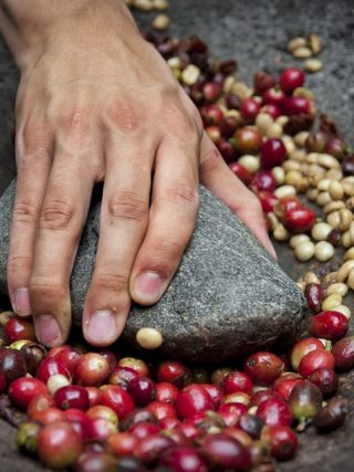 The Health Benefits of Coffee Beans: More Than Just a Morning Pick-Me-Up