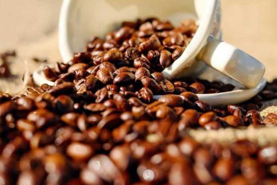 Your Ultimate Guide to Coffee Travel: A Newbie’s Adventure!