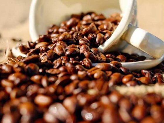 Your Ultimate Guide to Coffee Travel: A Newbie’s Adventure!