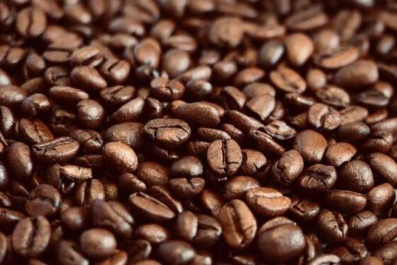 Upgrade Your Brew: Must-Have Coffee Accessories You’ll Love!