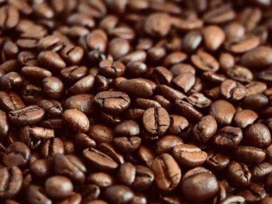 Upgrade Your Brew: Must-Have Coffee Accessories You’ll Love!