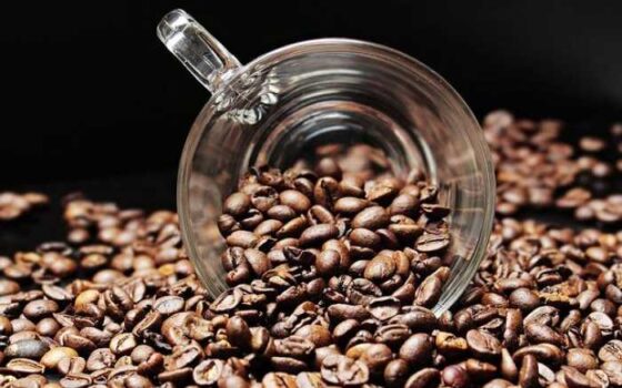 Coffee Adventures: A Beginner’s Guide to Travel Like a Pro!