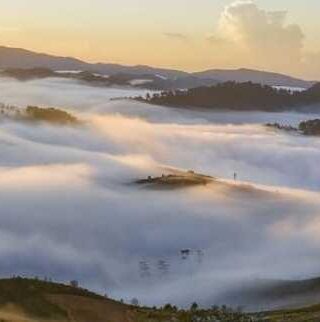 Brewing Dreams: Mastering Coffee Beans in Stardew Valley!