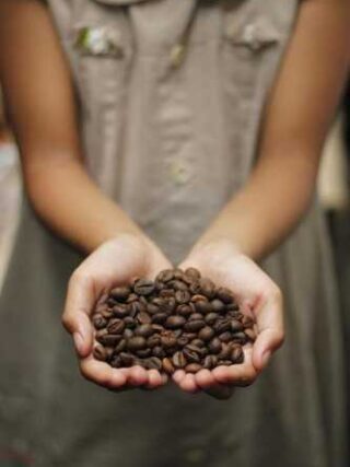 Coffee Adventures: Easy Recipes for Total Beginners!