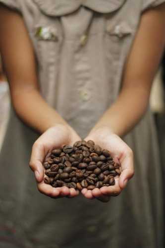 Coffee Adventures: Easy Recipes for Total Beginners!