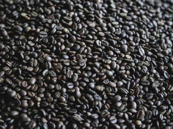 Kickstart Your Caffeine Game: Easy Coffee Recipes for Newbies!