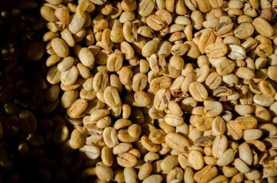 Perk Up! Discover the Surprising Benefits of Coffee Beans
