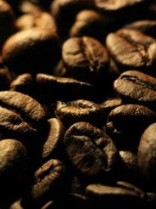 Your Ultimate Guide to Coffee Bean Types: Sip, Savor, Enjoy!