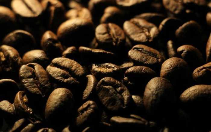 Your Ultimate Guide to Coffee Bean Types: Sip, Savor, Enjoy!