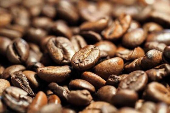 Brewing Adventures: Discovering Coffee Around the Globe!