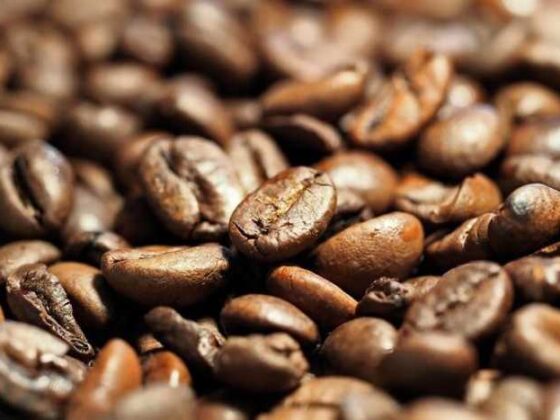 Brewing Adventures: Discovering Coffee Around the Globe!