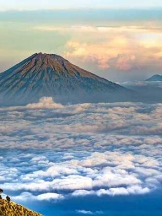 Java Jive: Easy Coffee Recipes for Newbies to Try!