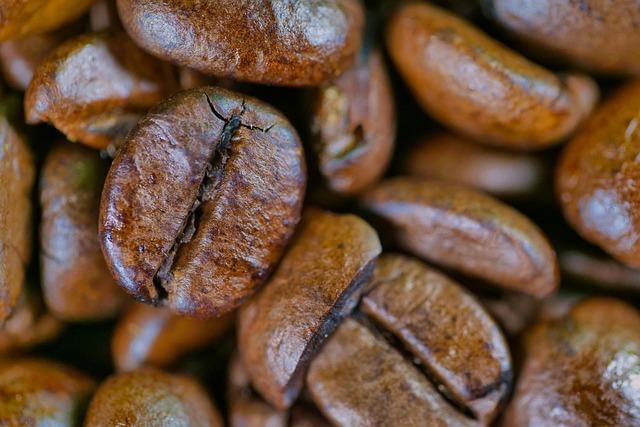 Roasting Techniques That Bring Out the Best in Your Beans